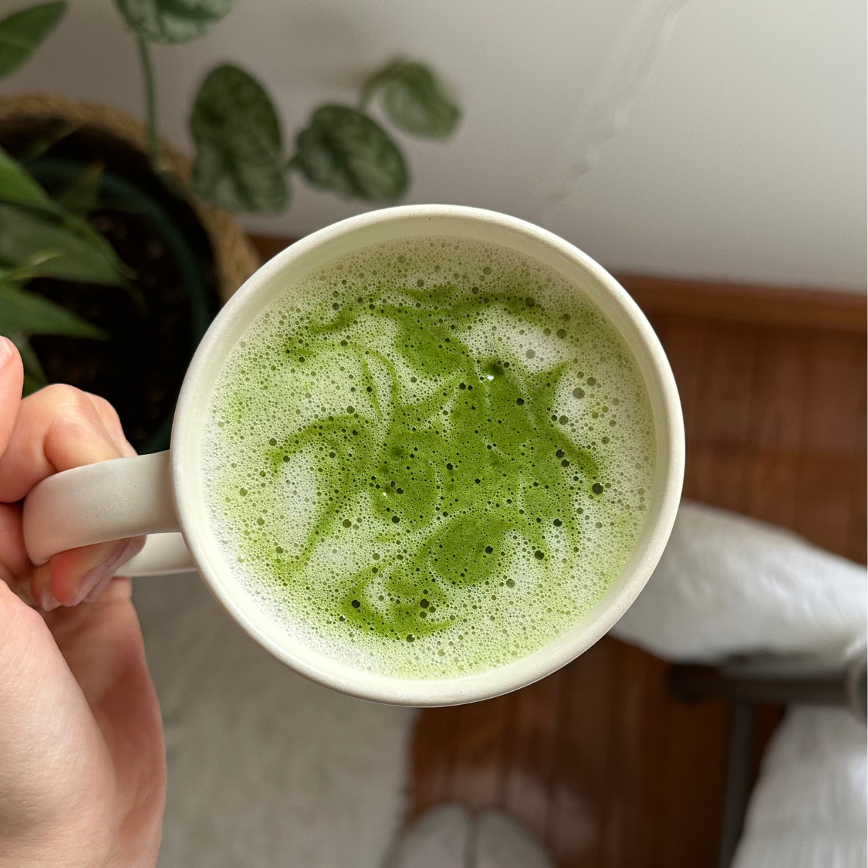Mainichi Matcha