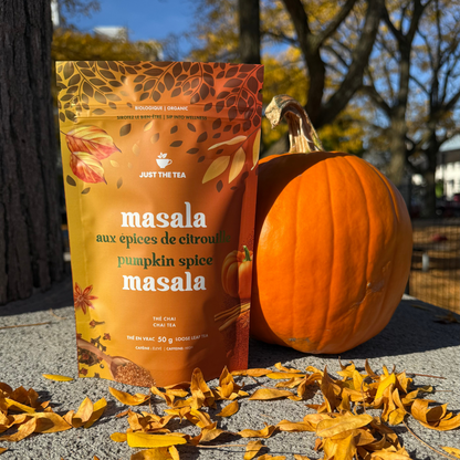 Masala aux épices de citrouille