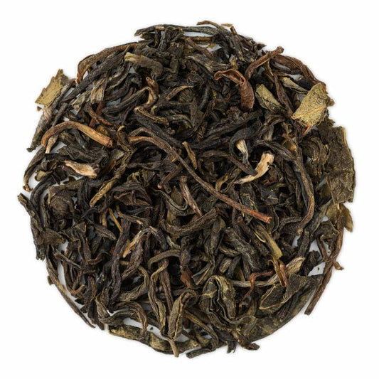 Jasmine Verdant